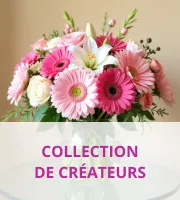 Designer Collection