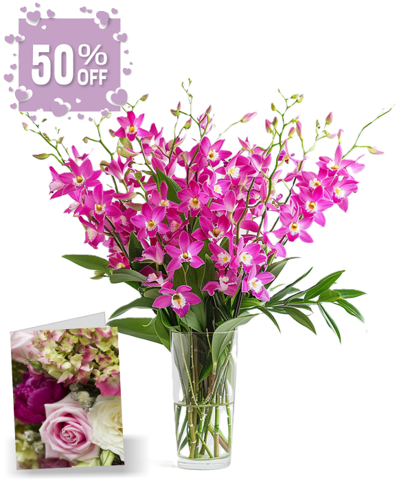 100 fleurs d'orchidées pour la fête des mères I