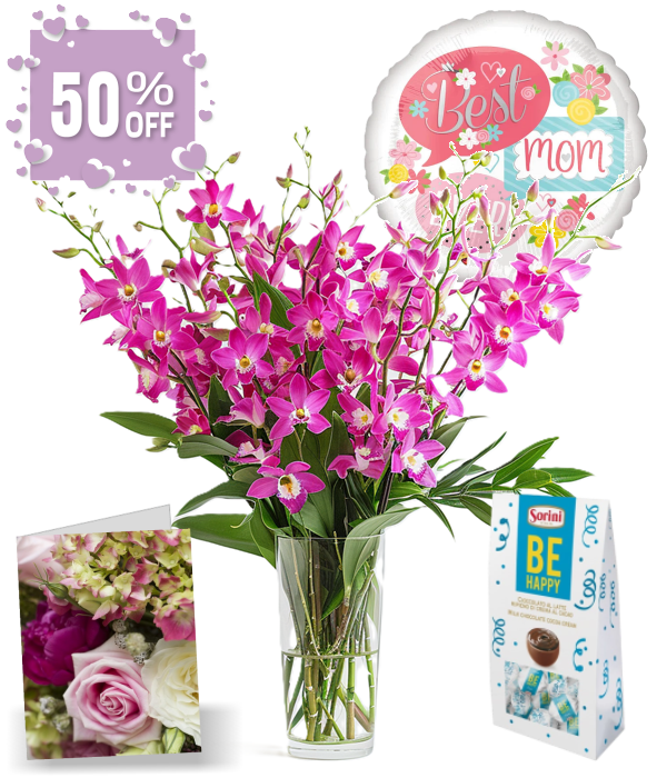 100 fleurs d'orchidées pour la fête des mères IV