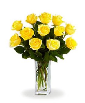 12 longues roses jaunes