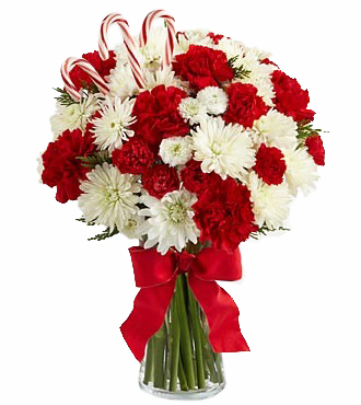 Two Dozen Candy Cane Carnations