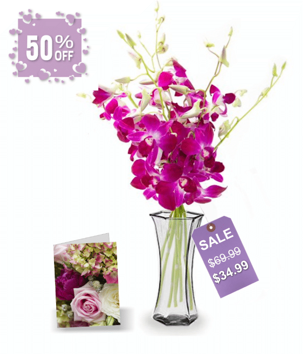 50 fleurs d'orchidées pour la fête des mères I