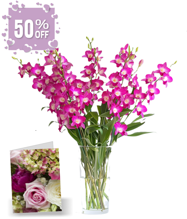 50 fleurs d'orchidées pour la fête des mères I