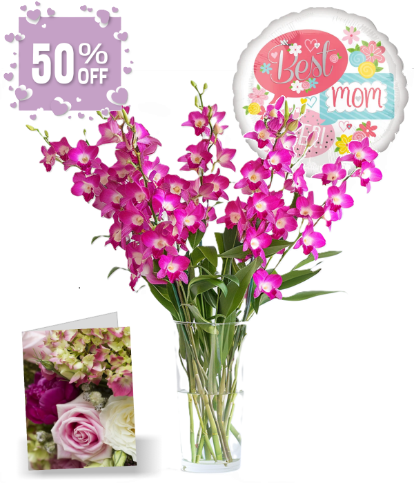 50 fleurs d'orchidées pour la fête des mères II
