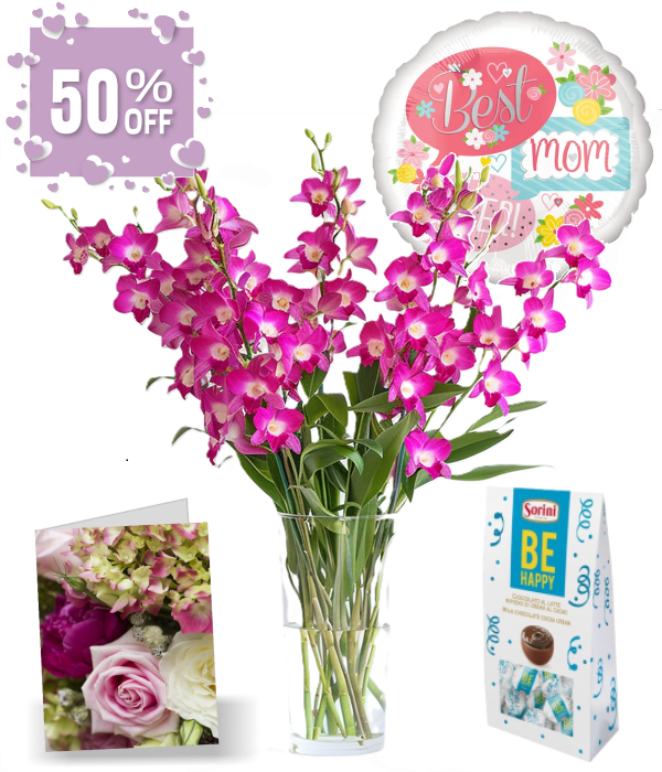 50 fleurs d'orchidées pour la fête des mères IV