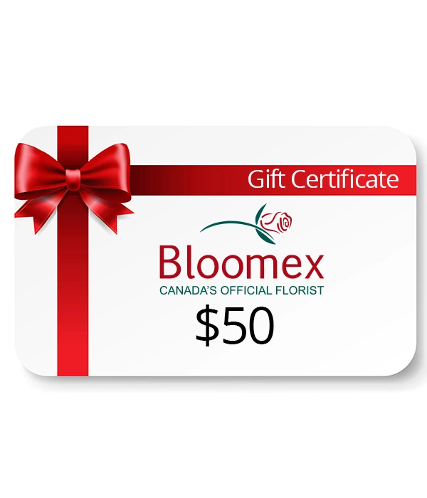 $50 Gift Certificate