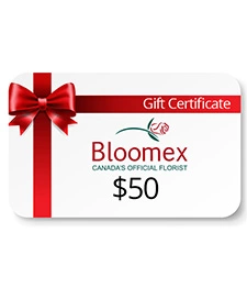 $50 Gift Certificate