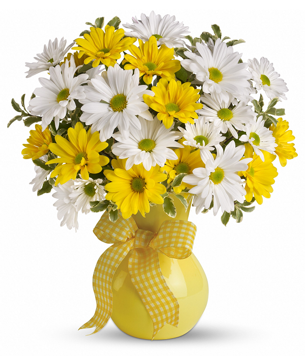 Classic Yellow  White Daisies LF33 32 