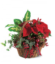 Christmas Planter Basket