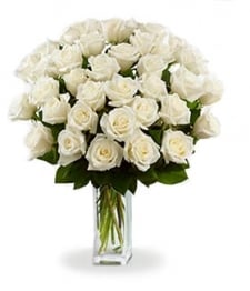 Three Dozen Long Stem White Roses