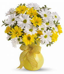 Bouquet de marguerites jaunes et blanches classique