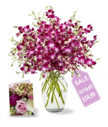 100 Blooms of Mother's Day Orchids I