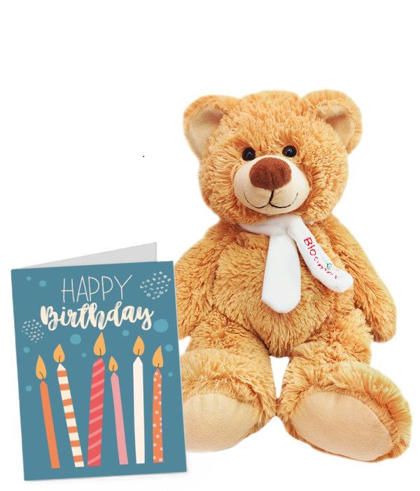 Birthday Card & Teddy