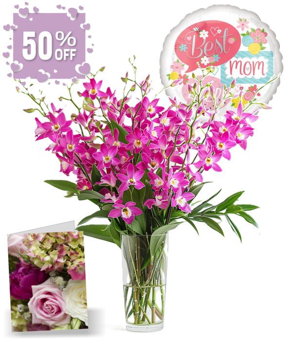 100 fleurs d'orchidées pour la fête des mères II