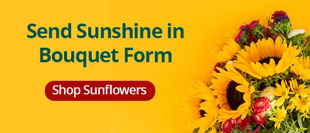 slider_slider_Sunflowers_EN2